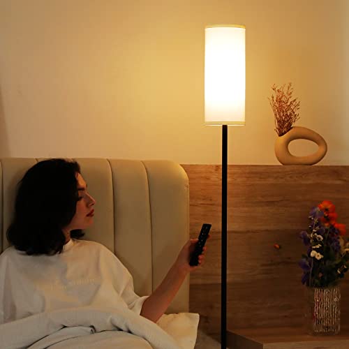 Minimalist Ambimall Floor Lamps for Living Room, 64" Modern Collection